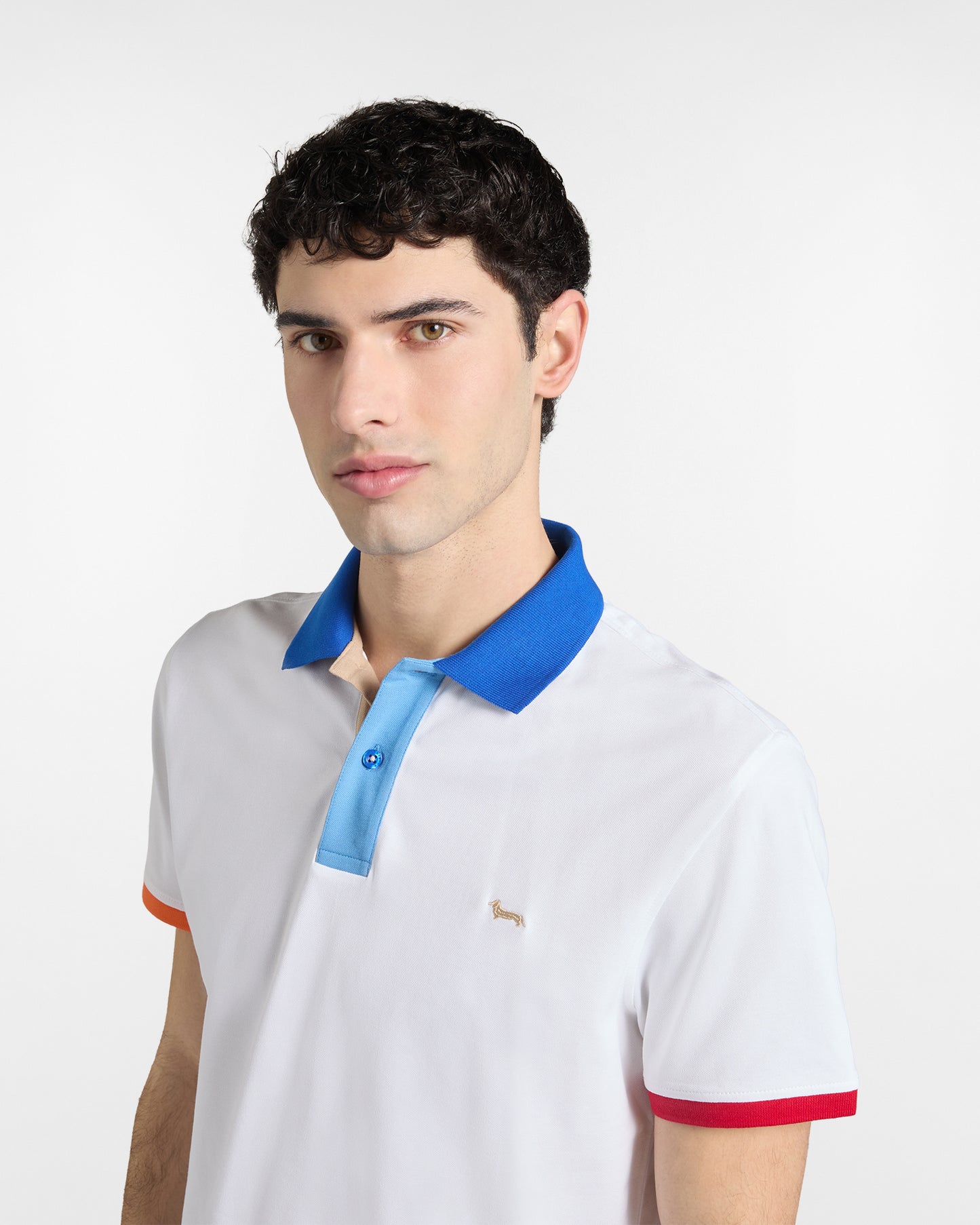 HARMONT&BLAINE Polo Uomo mod. LRQ417 020862