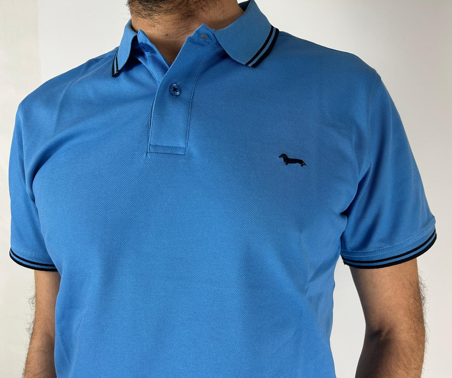 HARMONT&BLAINE Polo Uomo mod. LNN010 021148